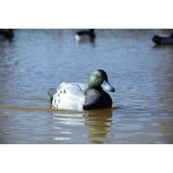Battleship Swimmer 12 Volt Motion Bluebill Duck Decoy H9382