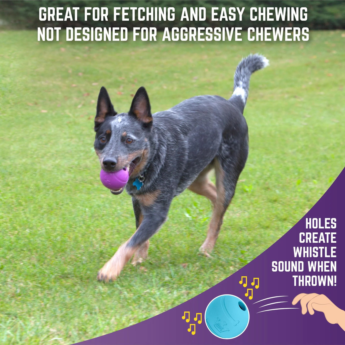 3 Pack Durable Natural Rubber Fetch Balls T83097